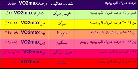 tam7 tam7