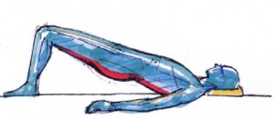 26-300x131 26