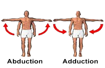 سطوح حرکتی و انواع حرکت در صفحات حرکتی 13 Abduction+Adduction