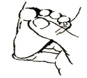 انواع رفلکس های ابتدایی دوران طفولیت 17 Grab-the-plantar-reflex-elmevarzesh