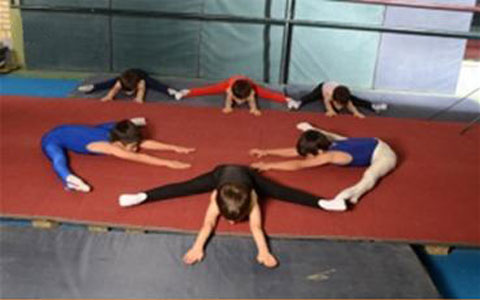 شیوه نامه و طرح درس ژیمناست پایه دوم 3 Gymnastics-elmevarzesh