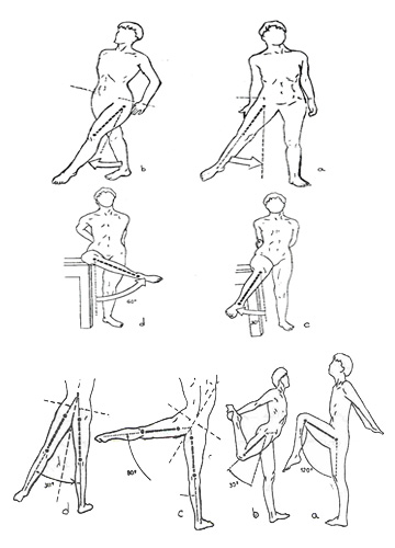 حرکات مفصل ران 7 Hip-movements
