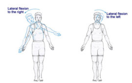 Lateral flexion elmevarzesh