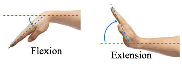 سطوح حرکتی و انواع حرکت در صفحات حرکتی 11 wrist-flexion-extension