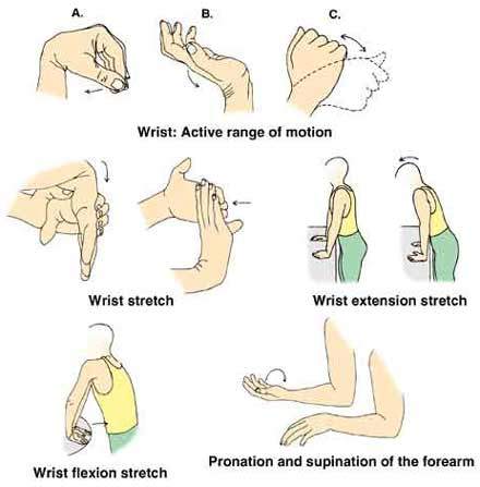 wrist wrist1