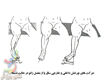 چرخش داخلی و خارجی حول محور ورتیکال Internal-and-external-rotation-of-joint