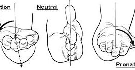 elbow supination