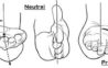 elbow supination