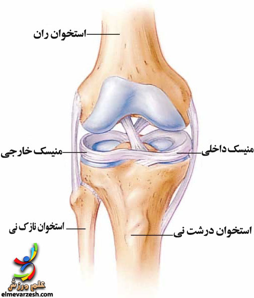 آسیب های مینیسک زانو آسیب های مینیسک زانو