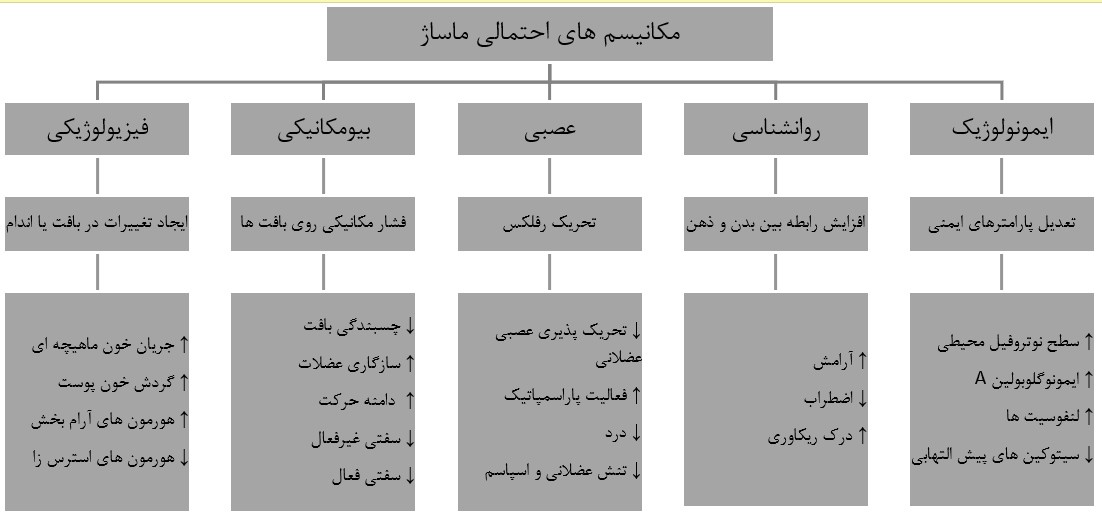 فواید ماساژ بعد از ورزش+ تاثیر ماساژ بر ریکاوری 11 ماساژ ورزشی