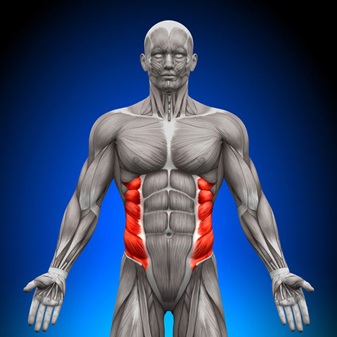 Rib Flare چیست و چگونه میتوان از آن پیشگیری کرد؟ 5 Rib Flare چیست و چگونه میتوان از آن پیشگیری کرد