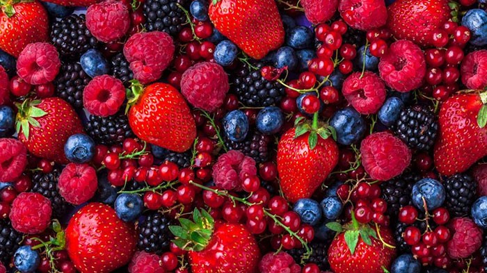 برای آرتروز چی بخوریم؟ غذاهای مفید و مضر برای آرتروز 12 برای آرتروز چی بخوریم؟ غذاهای مفید و مضر برای آرتروز