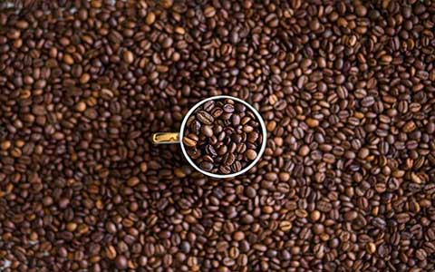 9 حقیقت جالب و خواندنی در مورد کافئین 9 حقیقت جالب و خواندنی در مورد کافئین