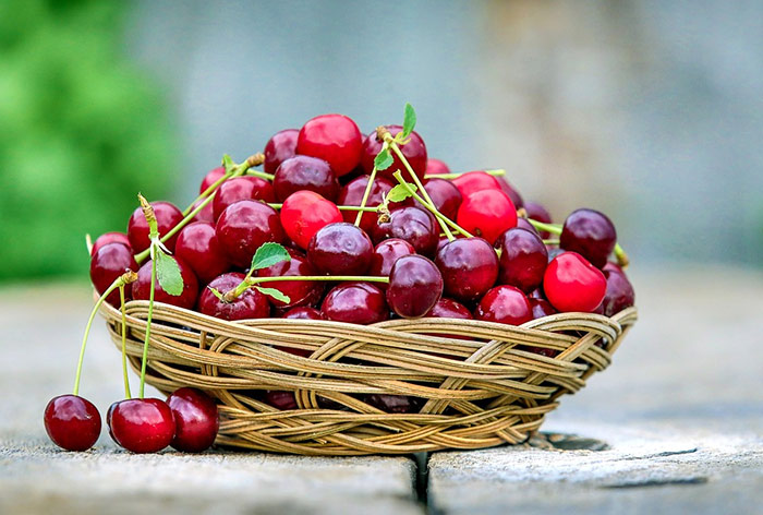بهترین میوه برای لاغری و چربی سوزی کدام است؟ 10 بهترین میوه برای لاغری و چربی سوزی کدام است؟