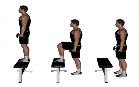 www.elmevarzesh.com/staircase-workout-plan-is-fast-efficient-and-effective/ برنامه ورزشی مؤثر و با نتایج سریع که فقط به پله نیاز دارد