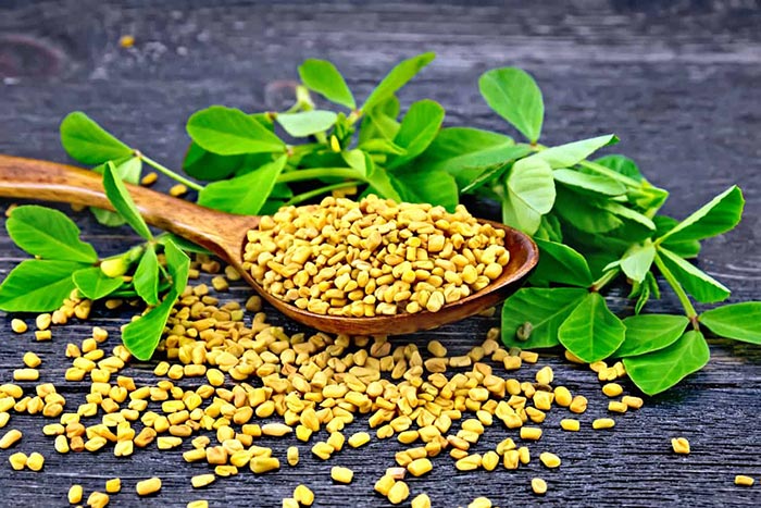 فواید بی نظیر 10 گیاه و ادویه خوشمزه برای بدن 26 فواید بی نظیر 10 گیاه و ادویه خوشمزه برای بدن