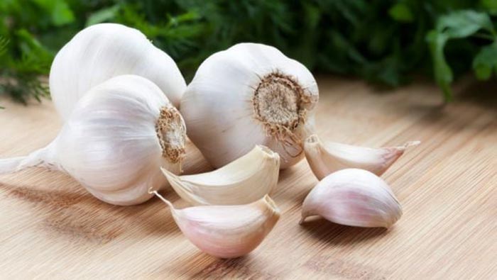 فواید بی نظیر 10 گیاه و ادویه خوشمزه برای بدن 29 فواید بی نظیر 10 گیاه و ادویه خوشمزه برای بدن