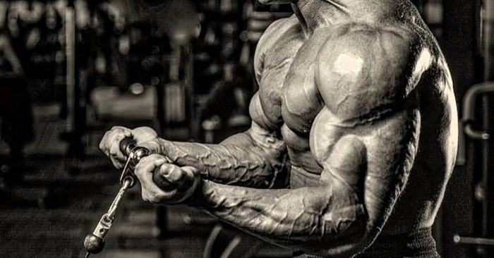 برای عضله سازی در هفته چند جلسه بدنسازی کار کنیم؟ 7 در هفته چند جلسه بدنسازی کار کنیم