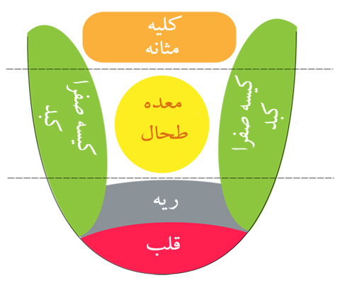 انواع رنگ زبان و ارتباط آن با بیماری چیست؟ انواع رنگ زبان و ارتباط آن با بیماری چیست؟