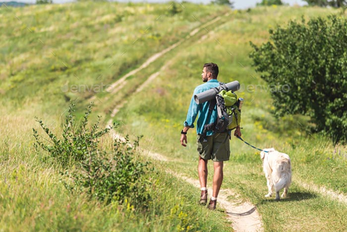 ورزش های ذهن و بدن برای داشتن جسم و قلب سالم 23 Walking in the meadow