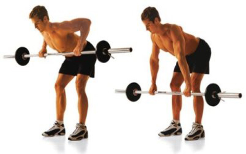 https://www.elmevarzesh.com/7-workouts-for-fitness/ هفت حرکت ورزشی برای تناسب اندام و تقویت عضلات