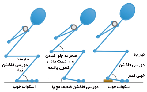 بهترین زاویه حرکت اسکوات بهترین زاویه حرکت اسکوات