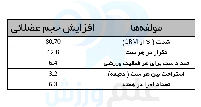 برای هر عضله چند ست و چند تکرار کافیست؟ راهنمای کامل 13 در تمرینات بدنسازی هر عضله را چند ست تمرین دهیم؟