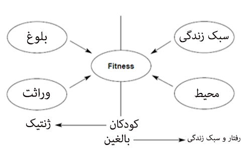 اساس ساخت عضلات در تناسب اندام حرفهای چیست؟ اساس ساخت عضلات در تناسب اندام حرفهای چیست؟