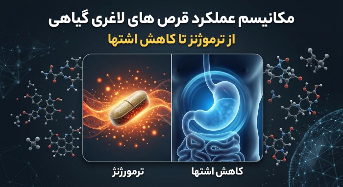 وعده لاغری با رژیم فستینگ|قرص لاغری بهتر است یا رژیم 8 مکانیسم عملکرد قرص های لاغری گیاهی (از ترموژنز تا کاهش اشتها)