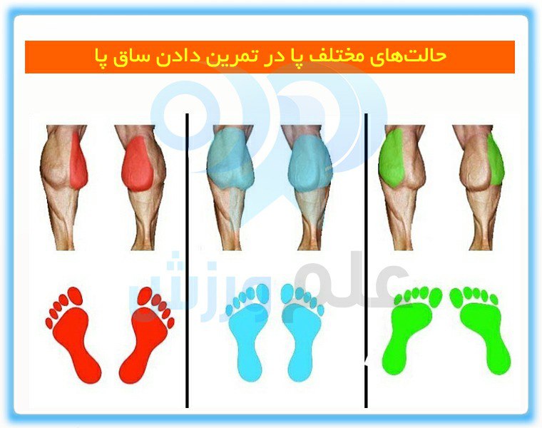 چگونه عضلات ساق پا را در منزل قوی کنیم؟ - آموزش تصویری 15 تمرین ساق پا، تقویت ساق پا در منزل