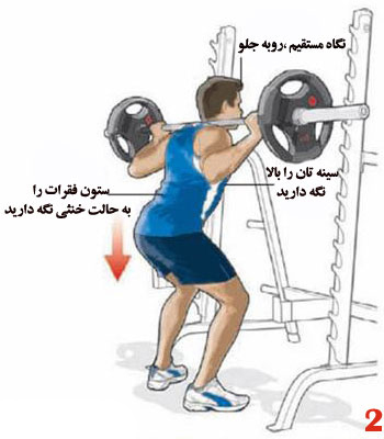 آموزش اسکوات با فیلم و عکس،صفر تا صد حرکت اسکات 15 آموزش حرکت اسکوات + تصویر