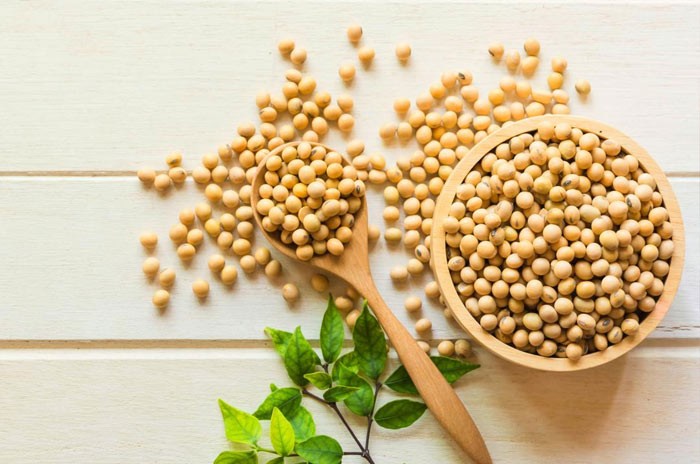 بهترین غذاهای عضله ساز+ لیست غذاهای بدنسازی 17 سویا غذاهای عضله ساز
