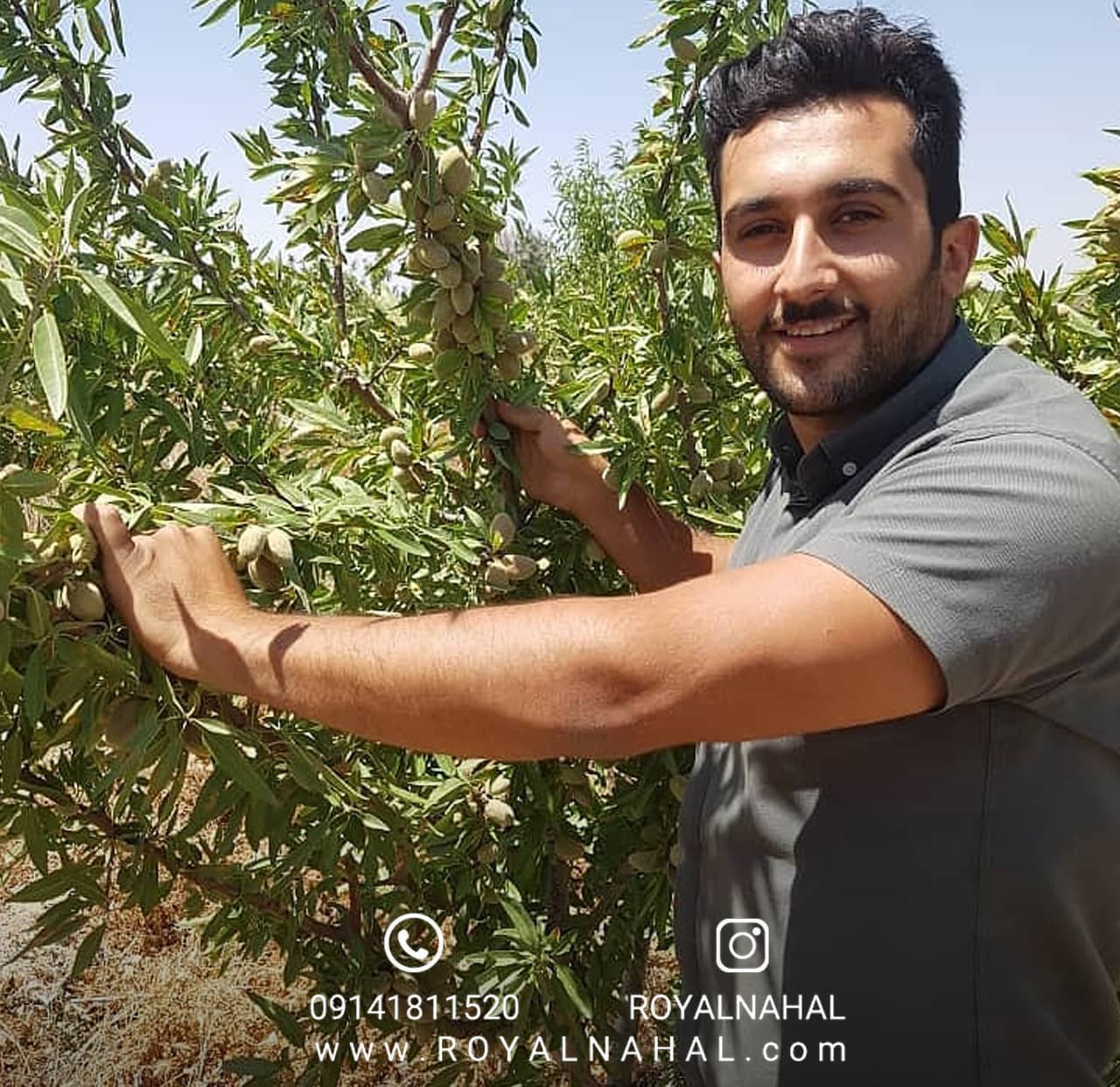 نهال بادام: بهترین شروع برای باغبانان تازه کار 5 نهال بادام: بهترین شروع برای باغبانان تازه کار