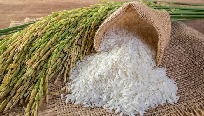 آیا برنج برای بدنسازی خوب است؟ پاسخ متخصصین 5 مصرف برنج در بدنسازی