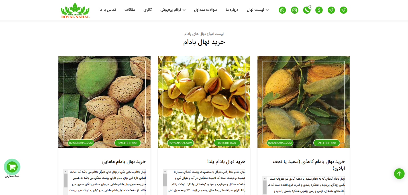 نهال بادام: بهترین شروع برای باغبانان تازه کار 7 با رویال نهال در باغدار نمونه بادام شوید