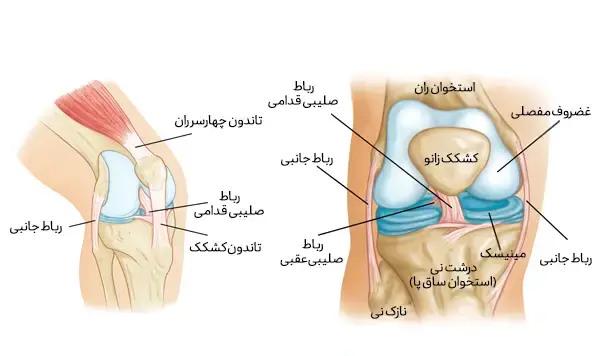شایعترین آسیبهای زانو در ورزش فوتبال چیست؟ 4 شایعترین آسیبهای زانو در ورزش فوتبال چیست؟