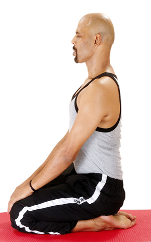 www.elmevarzesh.com/lower-cholesterol-with-yoga/ تمرینات یوگا برای کاهش کلسترول