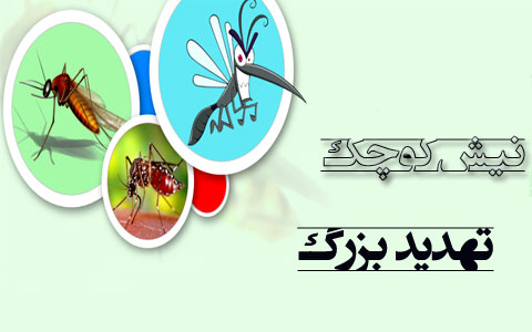 روز جهانی بهداشت، نیش کوچک،تهدید بزرگ روز جهانی بهداشت، نیش کوچک،تهدید بزرگ