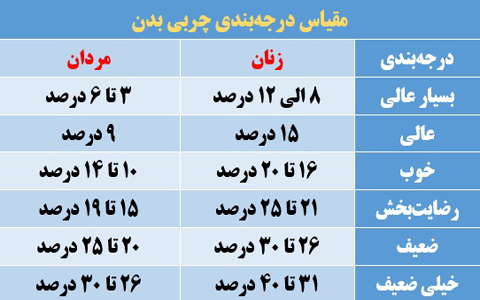 درصد چربی بدن برای نمایان شدن عضلات شکم باید چقدر باشد؟ درصد چربی بدن برای نمایان شدن عضلات شکم باید چقدر باشد؟